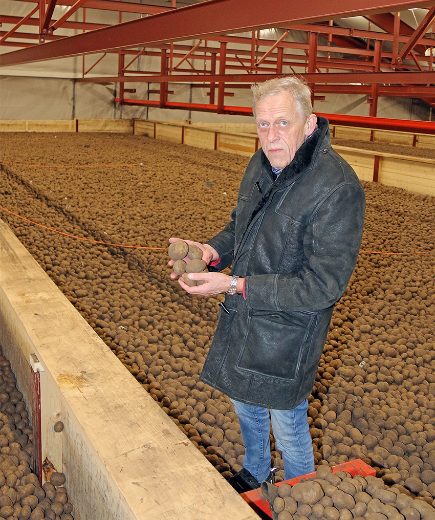 Erik Thorsen tager et kik produkterne på lageret, hvor kartoflerne ligger i millionvis.